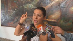 Lamentable tala de árboles en Culiacán