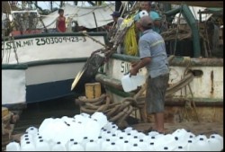 Inicia avituallamiento de barcos camaroneros