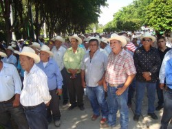 Productores exigen ayuda a diputados.