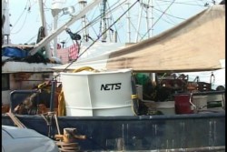 Camaroneros adoptan nuevos implementos de pesca ahorradores