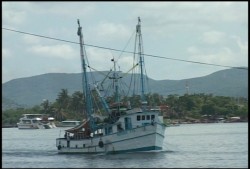 Zarpa la flota camaronera vía lastre hacia Baja California