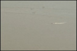 Desde el aire vigilan comportamiento de la pesca ribereña