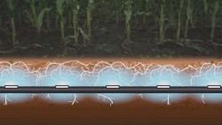 Lanzan ambicioso proyecto para irrigar 10 mil has de maiz