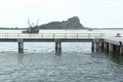 Reabren el puerto y camaroneros inician capturas