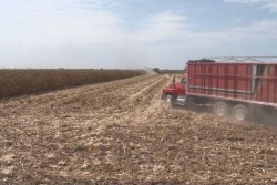 Solictarán organizaciones agricolas, que Aserca cumpla compromisos de pagos