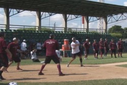 10 juegos de preparación de Tomateros