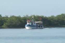 Barcos tiburoneros suspenden actividades de pesca para refugiarse de "Rachel"