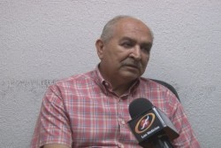 Necesario programa de inducción para reducir superficie de maiz blanco
