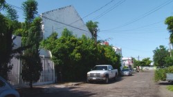 Se quejan de propiedad con maleza y animales bravos