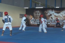 El Tae Kwon Do de Sinaloa, no ha progresado en cosecha de medallas en ON 2014.