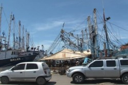 En el 2015 asignarán recursos para el proyecto ejecutivo del Refugio Pesquero de Mazatlán