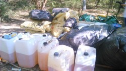 Aseguran casi 2 toneladas de droga en La Anona