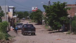 Piden fumigación y abatización en Culiacán