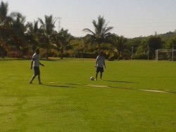 Dorados prepara juego ante Irapuato