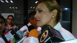Vigilarán equidad política en elecciones del 2015
