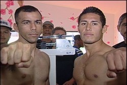 Sin problemas de peso protagonistas de la función de box "Sangre Nueva"