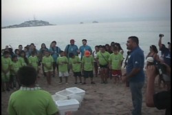 Niños del programa PERAJ liberan tortugas marinas