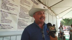 Exhortan a inscribirse para apoyos de repoblamiento de hatos ganaderos