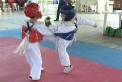 Con éxito se realizó el campeonato regional de Tae Kwon Do, en Mazatlán.