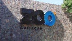 Tendrá el zoológico de Culiacán 19 millones de pesos adicionales.