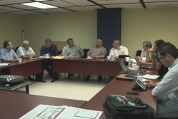 Buscan proteger del Pulgón Amarillo, 80 mil has. de sorgo : Senasica