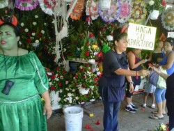 Por definir precio de flores para Día de Muertos