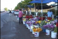 Habrá operativos de vigilancia para evitar la competencia desleal de venta de flores
