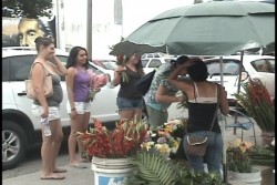 Se reactivan las ventas de flores por el día de los angelitos