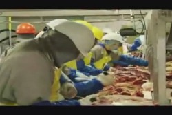 Precio de la carne seguirá a la alza, advierte la UGRS