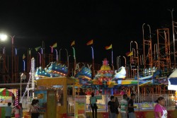 Sin incidentes en la Feria Ganadera