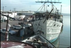 Se regulará acceso al muelle pesquero: Castillo