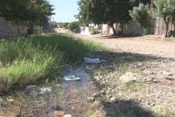 Denuncian fuga de agua en la Díaz Ordáz
