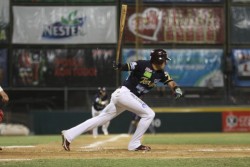 Maxwell León conecta tres imparables en la victoria de Tomatero sobre Mayos