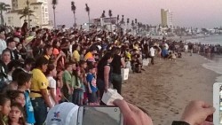 Liberan 540 tortugas al mar por el XVI Gran Maratón Pacífico