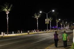 Lucen con iluminación artística las polémicas palmeras del malecón