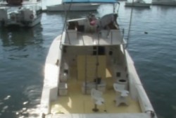 Turismo naviero reactiva la pesca deportiva