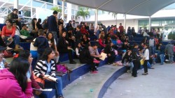Deficiencia en trámite de credenciales para el transporte urbano