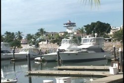 Pesca deportiva incrementa ocupación en la Marina
