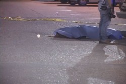 Suman 83 mujeres asesinadas en 2014