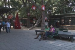 Muchos visitantes, reporta el Zoológico de Culiacán