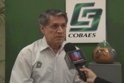 En espera de recursos para aguinaldo en COBAES