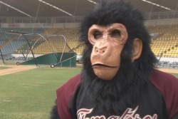 La mascota de Tomateros, el Chango, la mejor de la LMP
