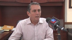 Instalarán 14 centros de acopio de arbolitos de navidad naturales en culiacán