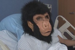 El  "Chango" al hospital y queda fuera de playoffs