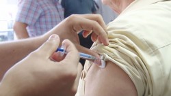 Vacuna contra el dengue se aplicará en el 2016