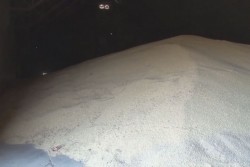 Federación aún adeuda 450 mdp a productores agricolas de Sinaloa