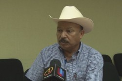 Reconoce Cesavesin mas de 2 mil has. con siniestro total