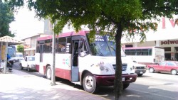 Choferes de urbanos denuncian infracciones injustificadas