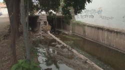 Denuncian agua estancada en colector humaya