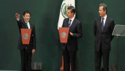 Virgilio Andrade, Secretario de la Función Pública